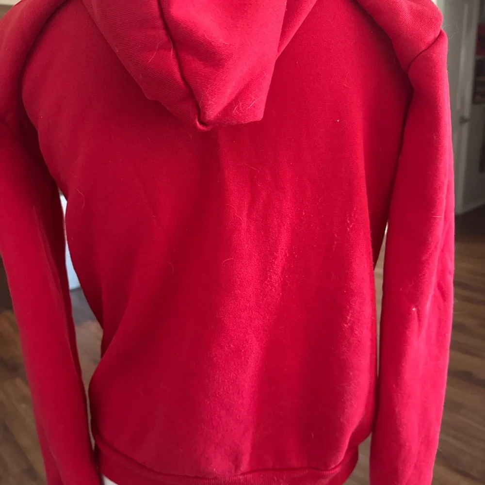 Cozy Red Cat Lovers Hoodie